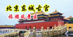 最新美女美鲍被插中国北京-东城古宫旅游风景区